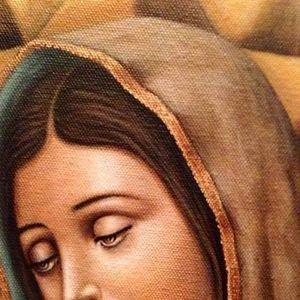 Meet your Posher, Claudia